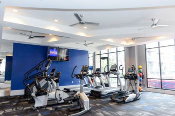 A gym with treadmills and ellipticals